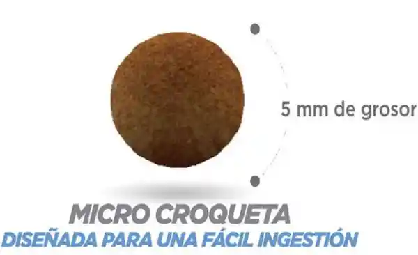 Nupec Felino Kitten X1.5kg