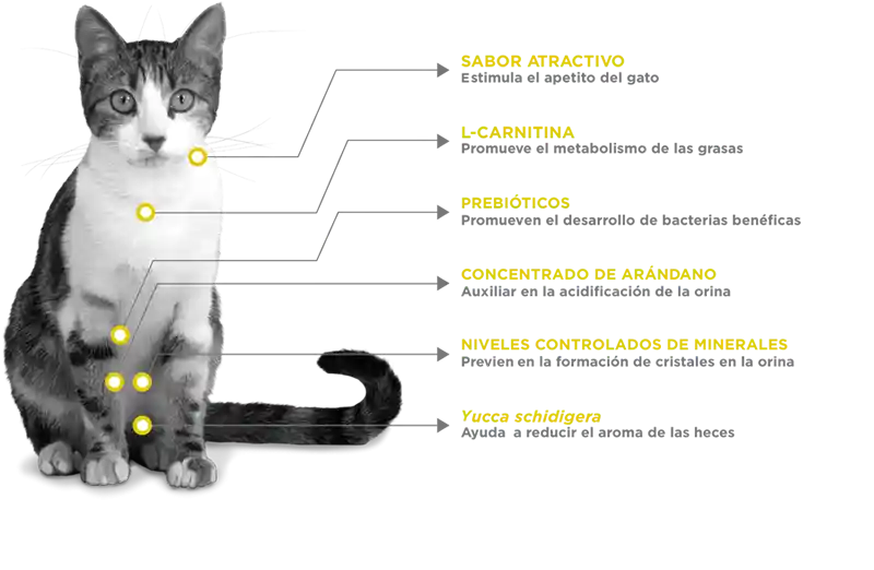Nupec Felino Urinary Management X1.5kg