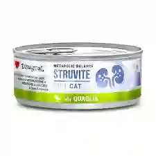 Lata Disugual Struvite Cat 85gr