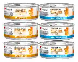 Lata Disugual Intestinal Cat 85gr