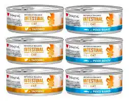 Lata Disugual Intestinal Cat 85gr