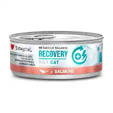 Lata Disugual Recovery Cat 85gr