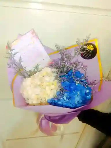 Hortensia Bloom