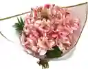 Astromelia De Exportación - Bouquet