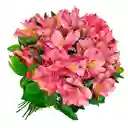 Astromelia De Exportación - Bouquet