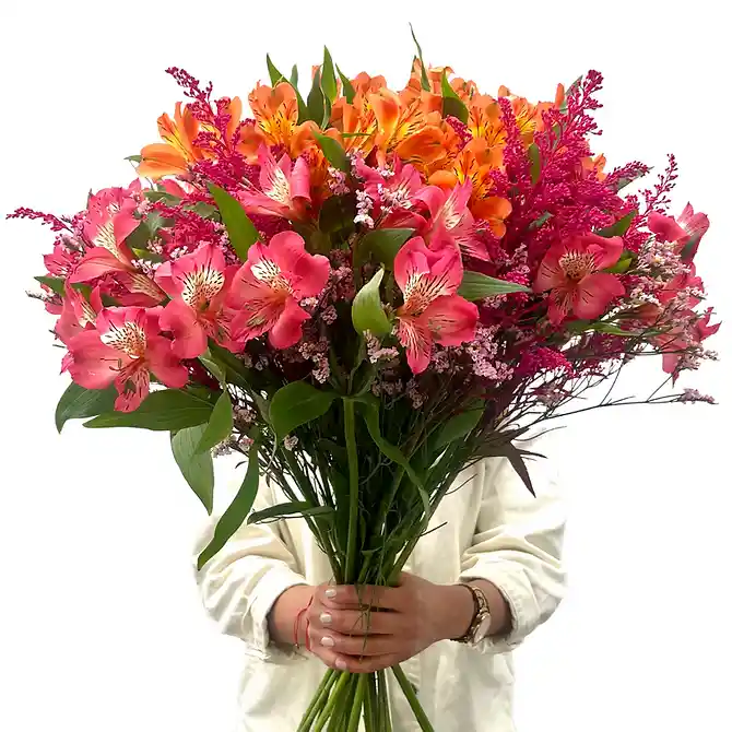 Astromelia De Exportación - Bouquet