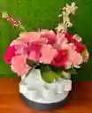Encanto Rosado
