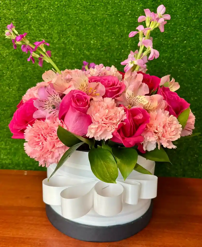 Encanto Rosado