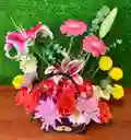 Osito De Colores