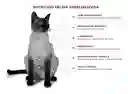 Nupec Felino Renal Care X1.5kg