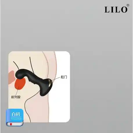 Anal Plug Vibrator We Love Lilo App