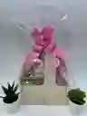 Kit Regalo Sorpresa Dia De La Madre