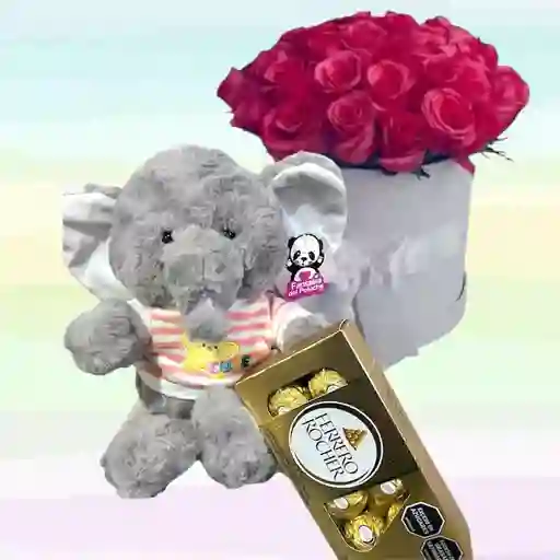 Flores Rosas Caja X24 Y Peluche Elefante Pequeño