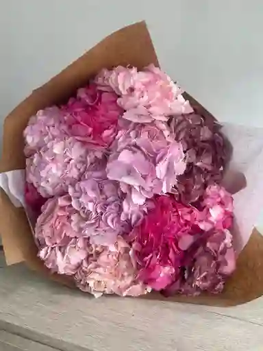 Bouquet 12 Hortensias