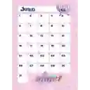 Agenda Planeador Stitch Primavera Edicion Limitada