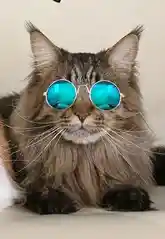 Gafas Redondas Pequeñas Azules