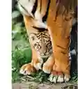 Rompecabezas 500 Piezas Tigres Salvajes En La Selva Adultos