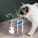 Fuente De Agua Mascotas Gatos Silencioso Automático Bebedero