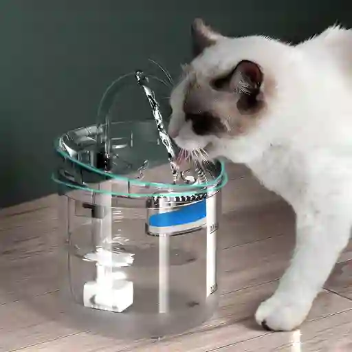 Fuente De Agua Mascotas Gatos Silencioso Automático Bebedero