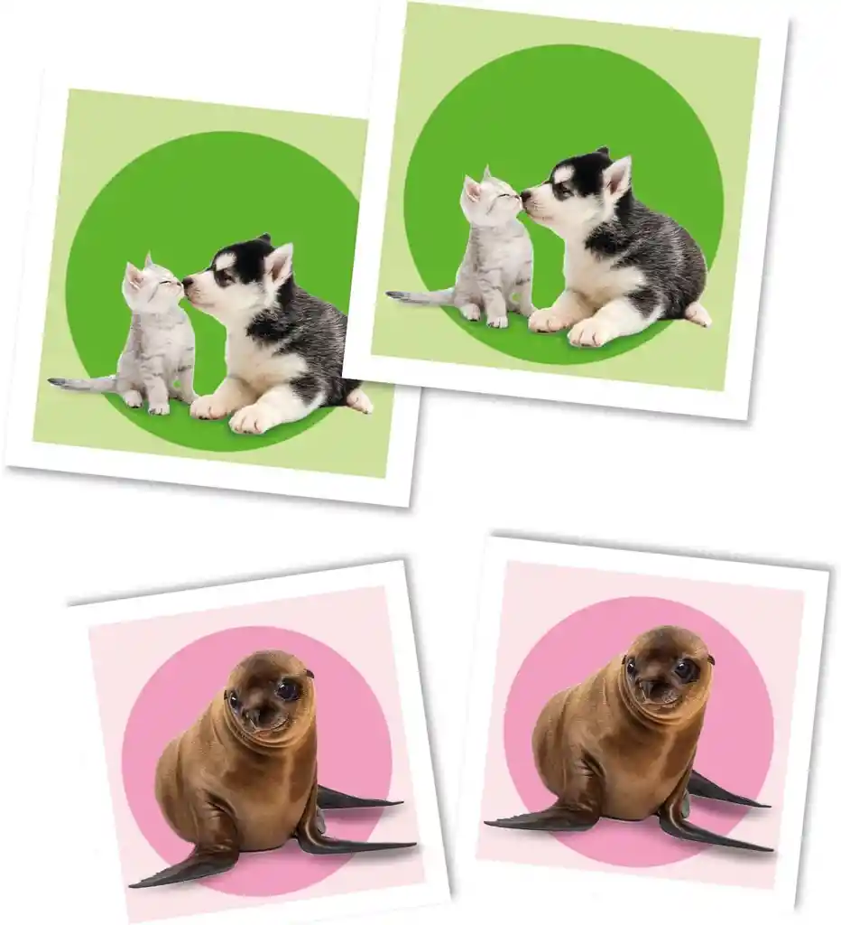 Juego Educativo Animales Bebés Memoria 48 Cartas Para Niños