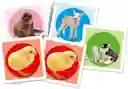 Juego Educativo Animales Bebés Memoria 48 Cartas Para Niños