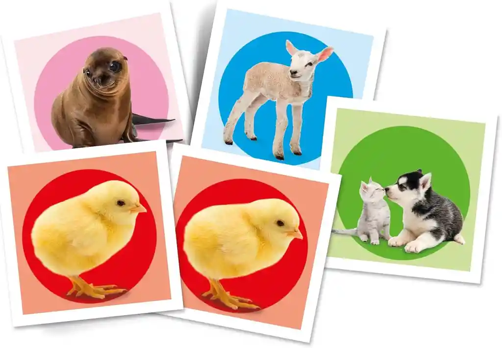 Juego Educativo Animales Bebés Memoria 48 Cartas Para Niños