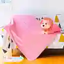 Almohada Peluche Con Cobija