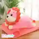 Almohada Peluche Con Cobija