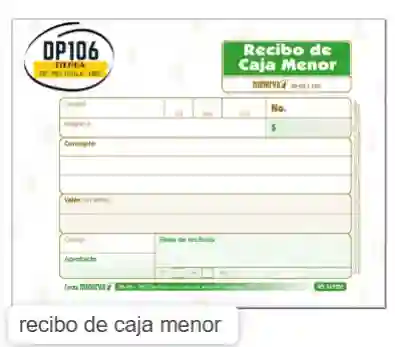 Recibo De Caja Menor X 100 Und