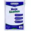 Hojas De Examen X100 Tamaño Doble Oficio