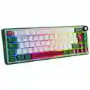 Teclado Gamer Mecánico Royal Kludge R65 Rgb 65% Green Sand (español)
