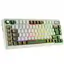 Teclado Gamer Mecánico Inalámbrico Royal Kludge Rkl75 Rgb 75% Palm Green (español)