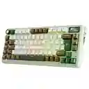 Teclado Gamer Mecánico Inalámbrico Royal Kludge Rkl75 Rgb 75% Palm Green (español)