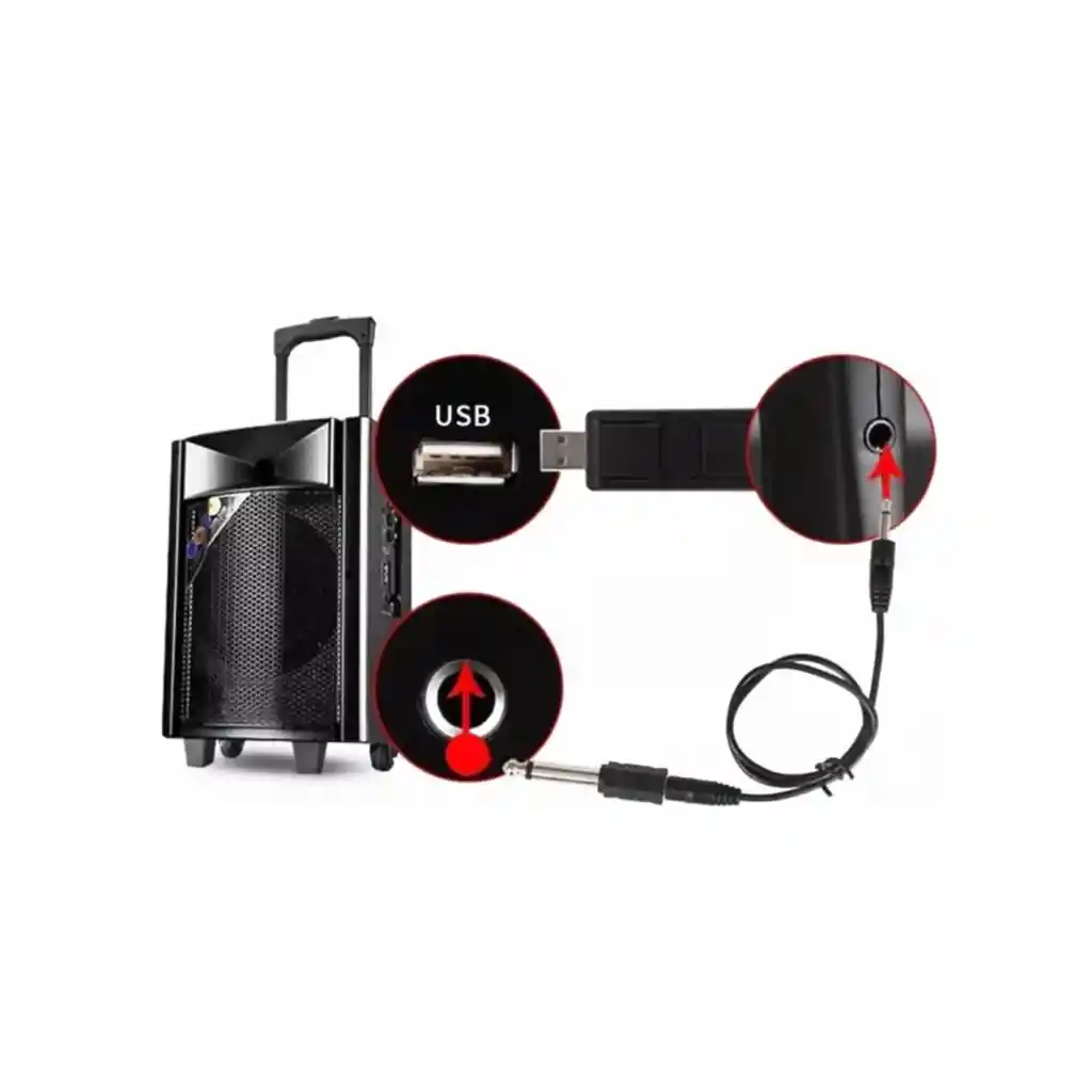 Microfono Inalambrico Para Parlante Usb Cmik Mk-v16