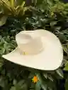 Sombrero Aguadeño Alón