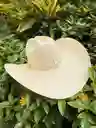 Sombrero Aguadeño Alón