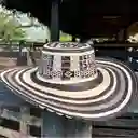 Sombrero Vueltiao 19