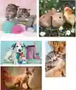 Rompecabezas 10 En 1 Amigos Animales Tiernos Para Niños