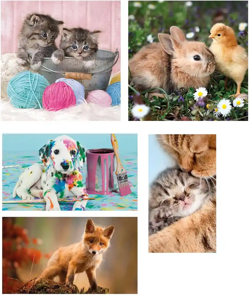 Rompecabezas 10 En 1 Amigos Animales Tiernos Para Niños