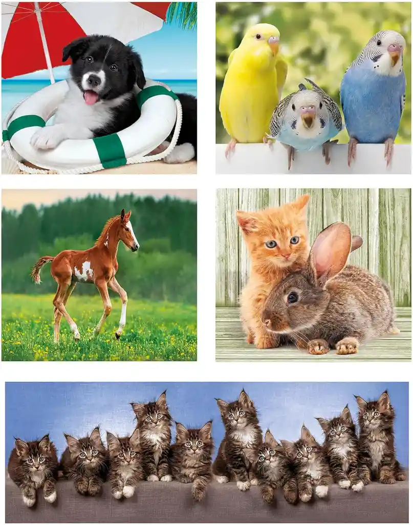 Rompecabezas 10 En 1 Amigos Animales Tiernos Para Niños