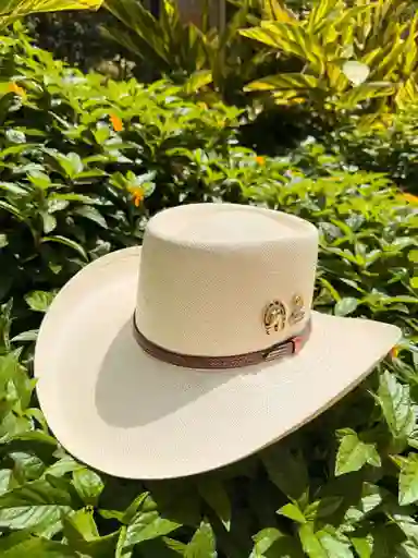 Sombrero Artequino O Austin