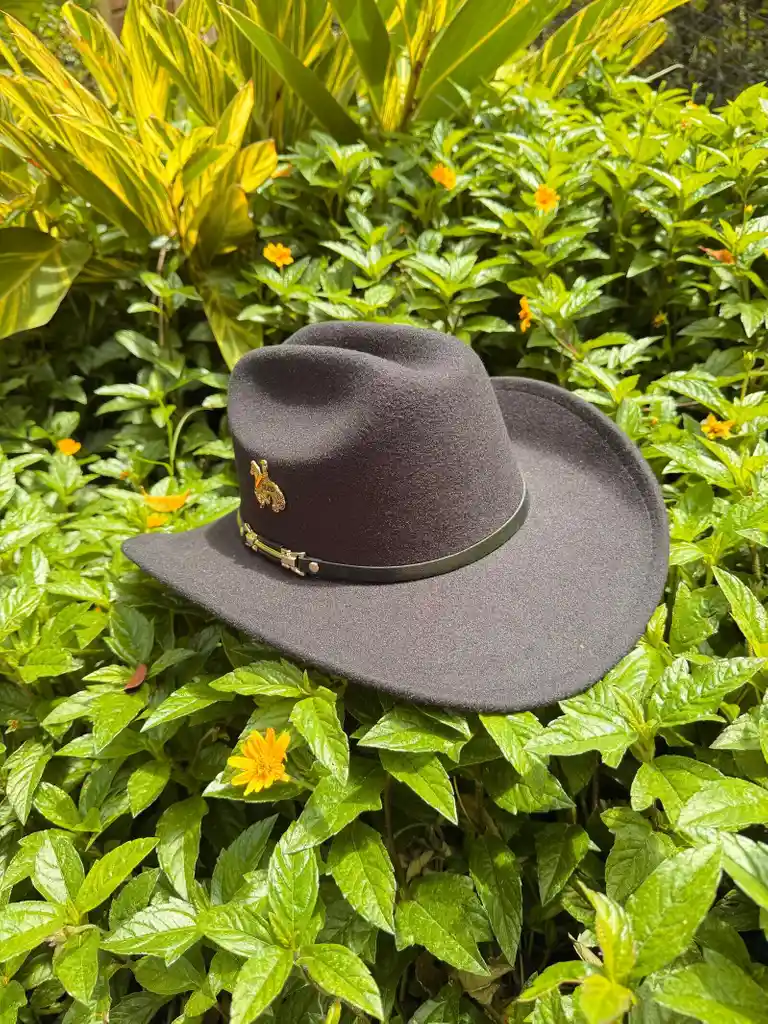 Sombrero Luis Alfonso