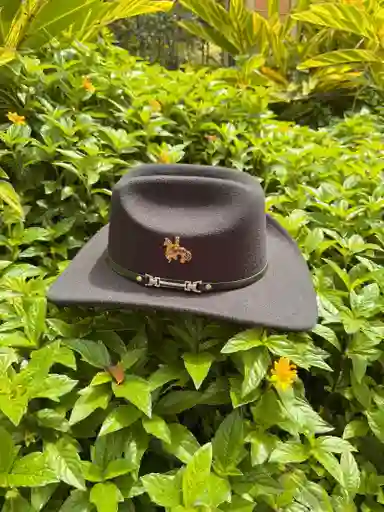 Sombrero Luis Alfonso