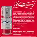 Cerveza Budweiser X6