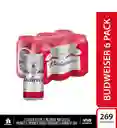 Cerveza Budweiser X6