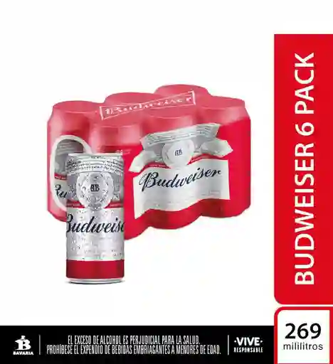 Cerveza Budweiser X6