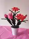 Ramo De Flores Eternas (balde)