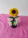 Girasol Eterno