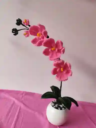 Hermosas Orquideas Eternas