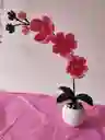 Hermosas Orquideas Eternas